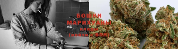 индика Гусев