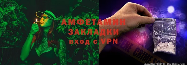 индика Гусев