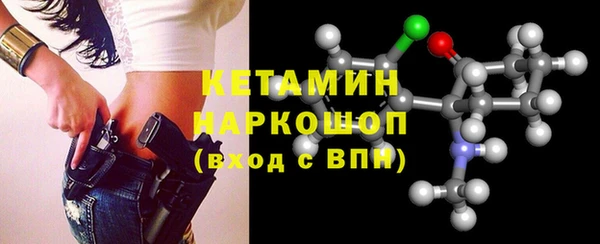 индика Гусев