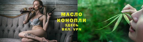 индика Гусев