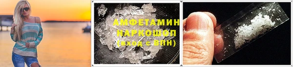 индика Гусев