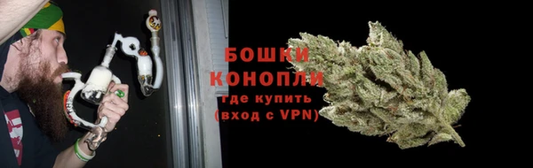 дмт Горно-Алтайск