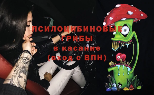 стаф Горняк