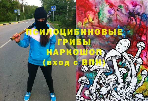 стаф Горняк
