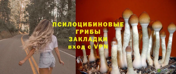 индика Гусев