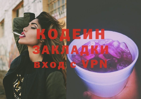 индика Гусев